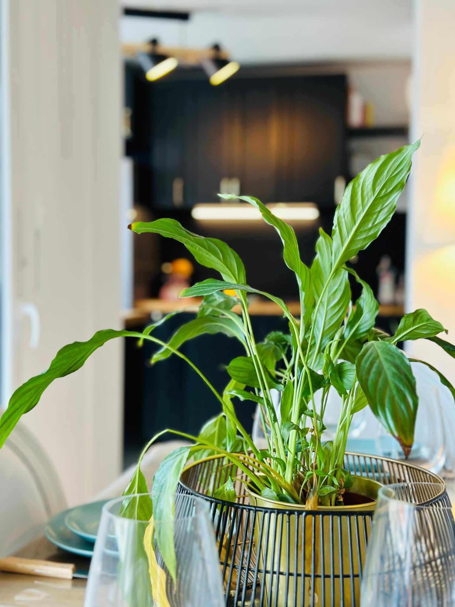 Le Vintage Apartment Tours Ngoại thất bức ảnh